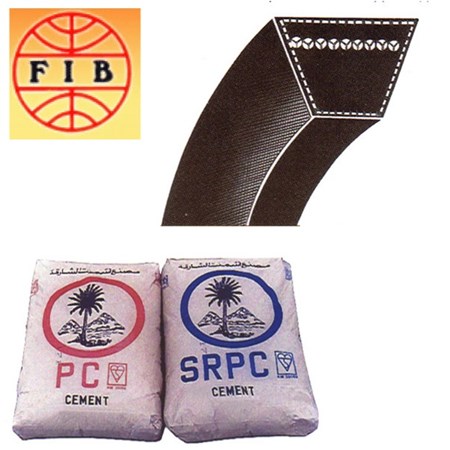 First International Business LLC