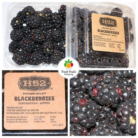 Fresh Fruits Company