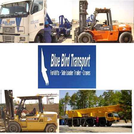 Blue Bird Transport
