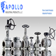 Apollo Industrial Products LLC