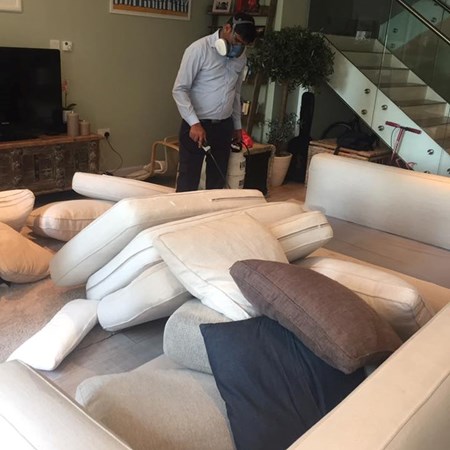 Star Al Madina Pest Control