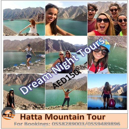 Dream Night Tours