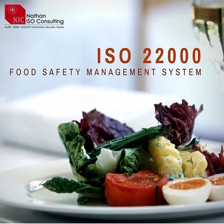 Nathan ISO Consulting