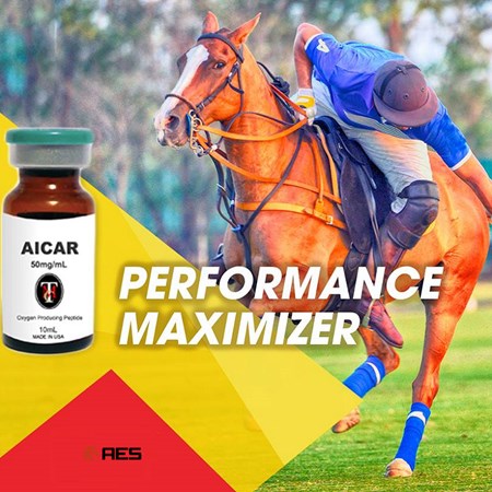 Advanced Equine Solutions