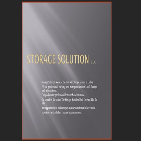 Storage Solution LLC