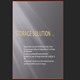 Storage Solution LLC