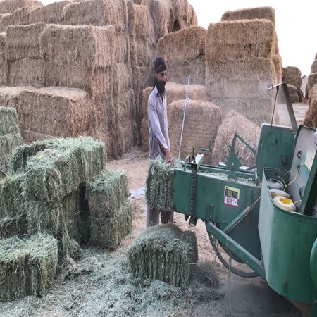 ACTON General Trading