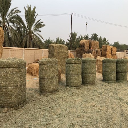 ACTON General Trading