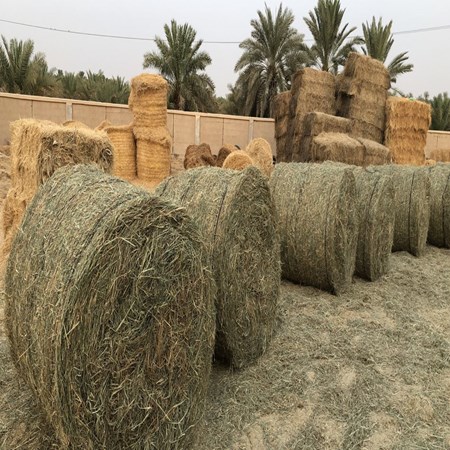 ACTON General Trading