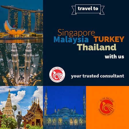 Elite Falcon Immigration & Consultant