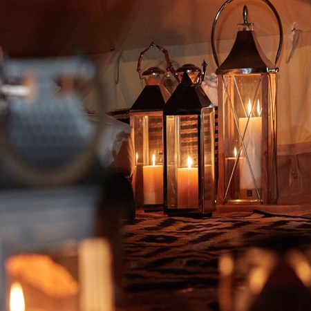 Royal Adventure Travel and Tourism