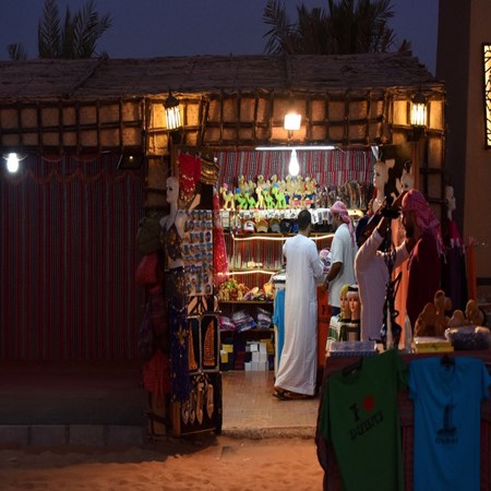 Royal Adventure Travel and Tourism