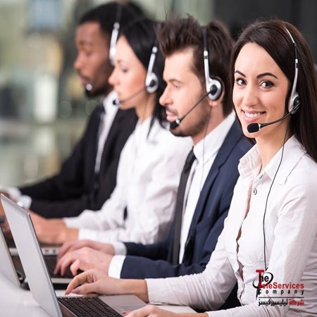 The Teleservices Company