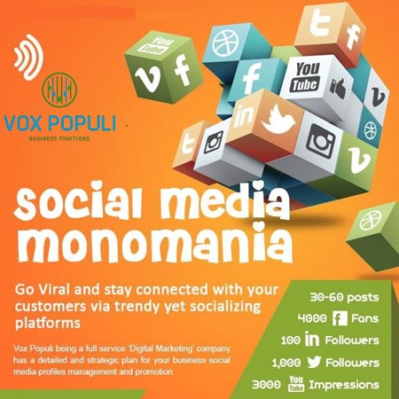 Vox Populi Solutions LLC
