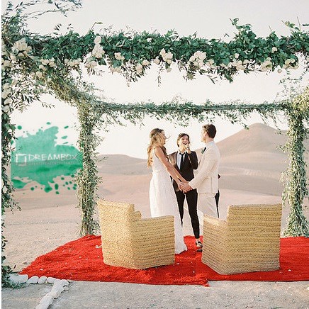 Dreambox Creative Consultants.