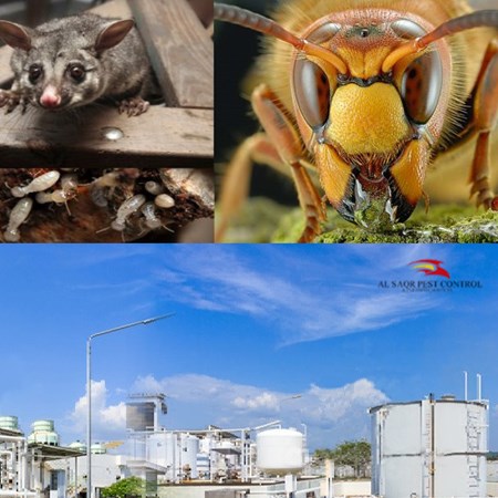 Al Saqr Pest Control