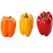 ISO 22000 & HACCP Certification service in UAE