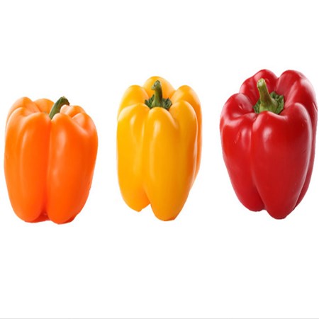 ISO 22000 & HACCP Certification service in UAE