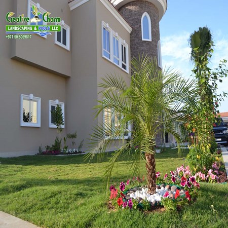 Landscape Maintenance service in Dubai
