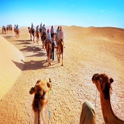 Morning Desert Safari -Dune Drive In Dubai