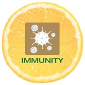 Immunity IV Vitamin Therapy Service in Dubai