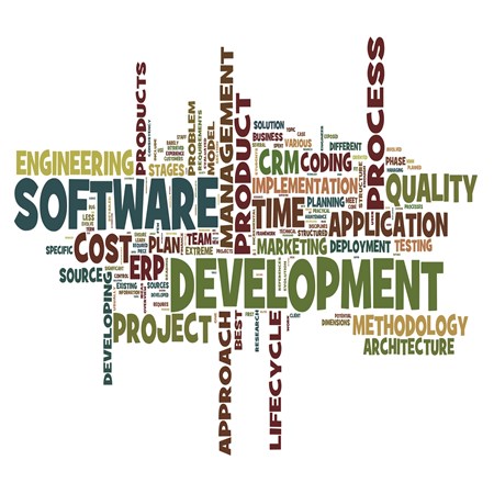 Software Development service in Dubai