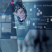 IT Software service in Sharjah