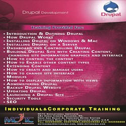 Web Development service in Dubai