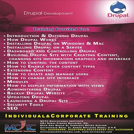 Web Development service in Dubai