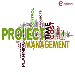 Project Management Software in Sharjah