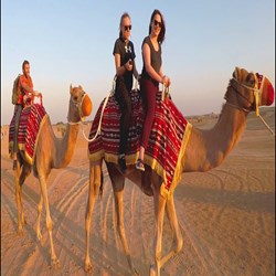 Evening Desert Safari Services