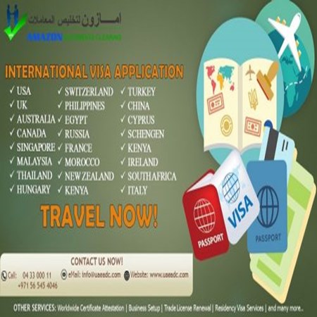 International Visa Services
