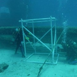 Underwater Construction Services in Dubai, UAE