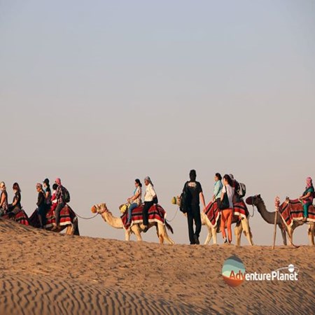 Desert Safari Adventure Tour in Dubai
