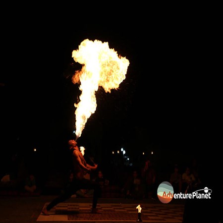 Desert Safari Adventure Tour in Dubai