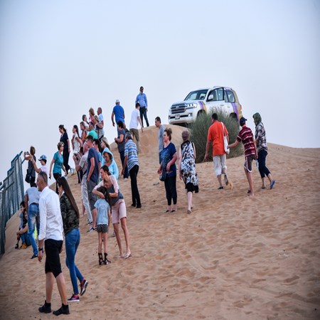 Desert Safari Tour Services in Dubai