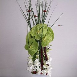 Office Flower Delivery In Dubai