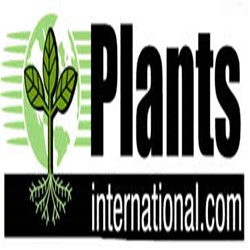 Plants International