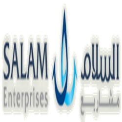 SALAM ENTERPRISES LLC