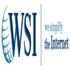 WSI Net Power