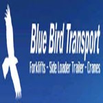 Blue Bird Transport