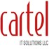 Cartel IT Solutions LLC