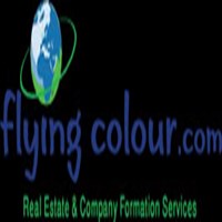 Flying Colour Businessmen Service
