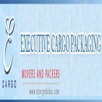 Executive cargo