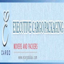 Executive cargo
