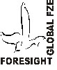 Foresight Global FZE