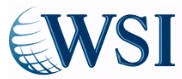 WSI Digital Marketing 