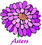 Asters Pest Control Services