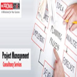 Promastar-Project Management Training Services-Oracle Primavera Software-Web Project Management