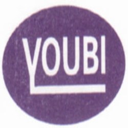 Youbi computer embroidery works 